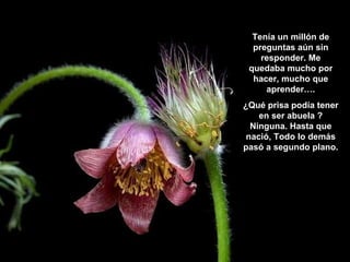 Tenía un millón de preguntas aún sin responder. Me quedaba mucho por hacer, mucho que aprender…. ¿Qué prisa podía tener en ser abuela ? Ninguna. Hasta que nació, Todo lo demás pasó a segundo plano. 