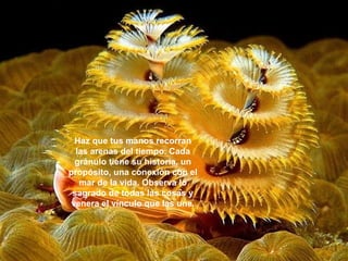 Haz que tus manos recorran las arenas del tiempo. Cada gránulo tiene su historia, un propósito, una conexión con el mar de la vida. Observa lo sagrado de todas las cosas y venera el vínculo que las une. 