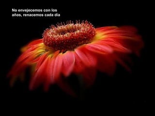 No envejecemos con los años, renacemos cada día 