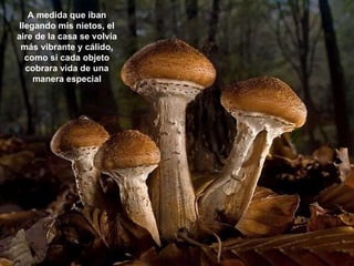 A medida que iban llegando mis nietos, el aire de la casa se volvía más vibrante y cálido, como si cada objeto cobrara vida de una manera especial 