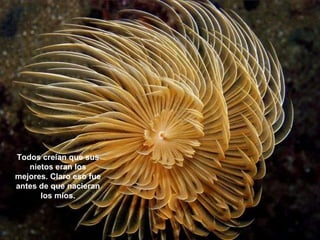 Todos creían que sus nietos eran los mejores. Claro eso fue antes de que nacieran los míos. 