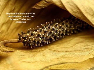 Hay muchísimas maneras de sostener un niño en brazos. Todas son correctas 