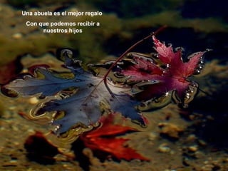 Una abuela es el mejor regalo  Con que podemos recibir a nuestros hijos 