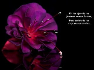 En los ojos de los jóvenes vemos llamas, Pero en los de los mayores vemos luz. 