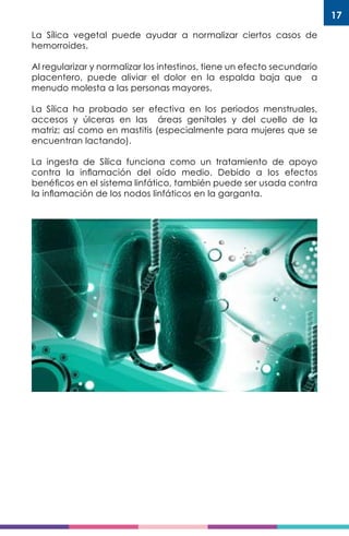 17
La Sílica vegetal puede ayudar a normalizar ciertos casos de
hemorroides.
Al regularizar y normalizar los intestinos, tiene un efecto secundario
placentero, puede aliviar el dolor en la espalda baja que a
menudo molesta a las personas mayores.
La Sílica ha probado ser efectiva en los periodos menstruales,
accesos y úlceras en las áreas genitales y del cuello de la
matriz; así como en mastitis (especialmente para mujeres que se
encuentran lactando).
La ingesta de Sílica funciona como un tratamiento de apoyo
contra la inflamación del oído medio. Debido a los efectos
benéficos en el sistema linfático, también puede ser usada contra
la inflamación de los nodos linfáticos en la garganta.
 