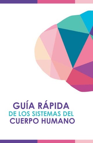 64
GUÍA RÁPIDA
DE LOS SISTEMAS DEL
CUERPO HUMANO
 