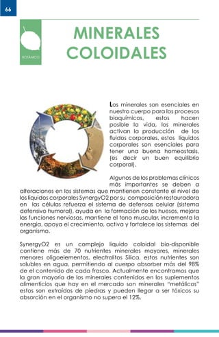 66
Los minerales son esenciales en
nuestro cuerpo para los procesos
bioquímicos, estos hacen
posible la vida, los minerales
activan la producción de los
fluidos corporales, estos líquidos
corporales son esenciales para
tener una buena homeostasis,
(es decir un buen equilibrio
corporal).
Algunos de los problemas clínicos
más importantes se deben a
alteraciones en los sistemas que mantienen constante el nivel de
los líquidos corporales SynergyO2 por su composición restauradora
en las células refuerza el sistema de defensas celular (sistema
defensivo humoral), ayuda en la formación de los huesos, mejora
las funciones nerviosas, mantiene el tono muscular, incrementa la
energía, apoya el crecimiento, activa y fortalece los sistemas del
organismo.
SynergyO2 es un complejo liquido coloidal bio-disponible
contiene más de 70 nutrientes minerales mayores, minerales
menores oligoelementos, electrolitos Silica, estos nutrientes son
solubles en agua, permitiendo al cuerpo absorber más del 98%
de el contenido de cada frasco. Actualmente encontramos que
la gran mayoría de los minerales contenidos en los suplementos
alimenticios que hay en el mercado son minerales “metálicos”
estos son extraídos de piedras y pueden llegar a ser tóxicos su
absorción en el organismo no supera el 12%.
MINERALES
COLOIDALESBOTÁNICO
 