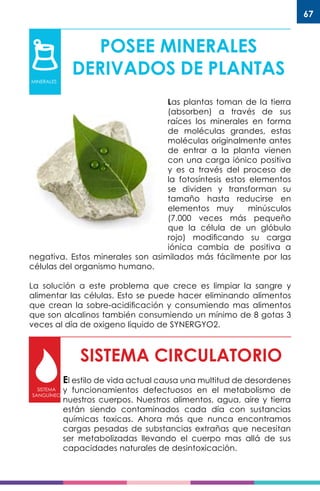 67
POSEE MINERALES
DERIVADOS DE PLANTAS
Las plantas toman de la tierra
(absorben) a través de sus
raíces los minerales en forma
de moléculas grandes, estas
moléculas originalmente antes
de entrar a la planta vienen
con una carga iónico positiva
y es a través del proceso de
la fotosíntesis estos elementos
se dividen y transforman su
tamaño hasta reducirse en
elementos muy minúsculos
(7.000 veces más pequeño
que la célula de un glóbulo
rojo) modificando su carga
iónica cambia de positiva a
negativa. Estos minerales son asimilados más fácilmente por las
células del organismo humano.
La solución a este problema que crece es limpiar la sangre y
alimentar las células. Esto se puede hacer eliminando alimentos
que crean la sobre-acidificación y consumiendo mas alimentos
que son alcalinos también consumiendo un mínimo de 8 gotas 3
veces al día de oxigeno liquido de SYNERGYO2.
MINERALES
SISTEMA CIRCULATORIO
SISTEMA
SANGUÍNEO
El estilo de vida actual causa una multitud de desordenes
y funcionamientos defectuosos en el metabolismo de
nuestros cuerpos. Nuestros alimentos, agua, aire y tierra
están siendo contaminados cada día con sustancias
químicas toxicas. Ahora más que nunca encontramos
cargas pesadas de substancias extrañas que necesitan
ser metabolizadas llevando el cuerpo mas allá de sus
capacidades naturales de desintoxicación.
SISTEMA
SANGUÍNEO
 