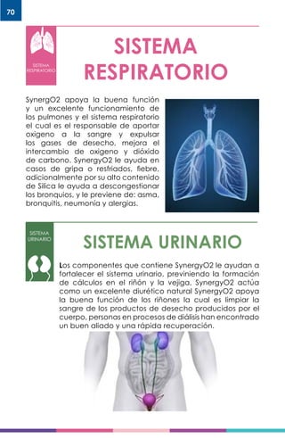 70
SISTEMA
RESPIRATORIO
SISTEMA
RESPIRATORIO
SynergO2 apoya la buena función
y un excelente funcionamiento de
los pulmones y el sistema respiratorio
el cual es el responsable de aportar
oxigeno a la sangre y expulsar
los gases de desecho, mejora el
intercambio de oxigeno y dióxido
de carbono. SynergyO2 le ayuda en
casos de gripa o resfriados, fiebre,
adicionalmente por su alto contenido
de Silica le ayuda a descongestionar
los bronquios, y le previene de: asma,
bronquitis, neumonía y alergias.
SISTEMA URINARIO
SISTEMA
URINARIO
Los componentes que contiene SynergyO2 le ayudan a
fortalecer el sistema urinario, previniendo la formación
de cálculos en el riñón y la vejiga, SynergyO2 actúa
como un excelente diurético natural SynergyO2 apoya
la buena función de los riñones la cual es limpiar la
sangre de los productos de desecho producidos por el
cuerpo, personas en procesos de diálisis han encontrado
un buen aliado y una rápida recuperación.
 