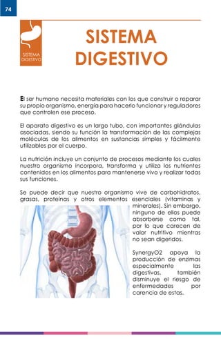 74
SISTEMA
DIGESTIVOSISTEMA
DIGESTIVO
El ser humano necesita materiales con los que construir o reparar
su propio organismo, energía para hacerlo funcionar y reguladores
que controlen ese proceso.
El aparato digestivo es un largo tubo, con importantes glándulas
asociadas, siendo su función la transformación de las complejas
moléculas de los alimentos en sustancias simples y fácilmente
utilizables por el cuerpo.
La nutrición incluye un conjunto de procesos mediante los cuales
nuestro organismo incorpora, transforma y utiliza los nutrientes
contenidos en los alimentos para mantenerse vivo y realizar todas
sus funciones.
Se puede decir que nuestro organismo vive de carbohidratos,
grasas, proteínas y otros elementos esenciales (vitaminas y
minerales). Sin embargo,
ninguno de ellos puede
absorberse como tal,
por lo que carecen de
valor nutritivo mientras
no sean digeridos.
SynergyO2 apoya la
producción de enzimas
especialmente las
digestivas, también
disminuye el riesgo de
enfermedades por
carencia de estas.
 