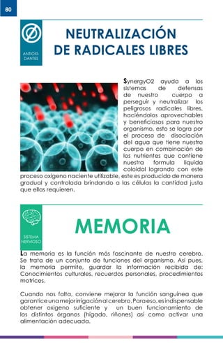80
NEUTRALIZACIÓN
DE RADICALES LIBRESANTIOXI-
DANTES
SynergyO2 ayuda a los
sistemas de defensas
de nuestro cuerpo a
perseguir y neutralizar los
peligrosos radicales libres,
haciéndolos aprovechables
y beneficiosos para nuestro
organismo, esto se logra por
el proceso de disociación
del agua que tiene nuestro
cuerpo en combinación de
los nutrientes que contiene
nuestra formula liquida
coloidal logrando con este
proceso oxigeno naciente utilizable, este es producido de manera
gradual y controlada brindando a las células la cantidad justa
que ellas requieren.
MEMORIASISTEMA
NERVIOSO
La memoria es la función más fascinante de nuestro cerebro.
Se trata de un conjunto de funciones del organismo. Así pues,
la memoria permite, guardar la información recibida de:
Conocimientos culturales, recuerdos personales, procedimientos
motrices.
Cuando nos falta, conviene mejorar la función sanguínea que
garanticeunamejorirrigaciónalcerebro.Paraeso,esindispensable
obtener oxigeno suficiente y un buen funcionamiento de
los distintos órganos (hígado, riñones) así como activar una
alimentación adecuada.
 