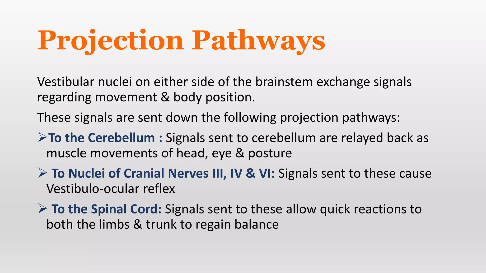 Vestibular apparatus involved in balancing and hearing process | PPTX