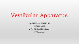 Vestibular Apparatus
By: MEENALI MISHRA
A13156216002
M.Sc. Medical Physiology
(3rd Semester)
 