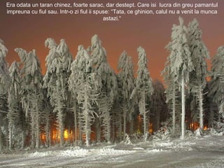 Era odata un taran chinez, foarte sarac, dar destept. Care isi  lucra din greu pamantul impreuna cu fiul sau. Intr-o zi fi...