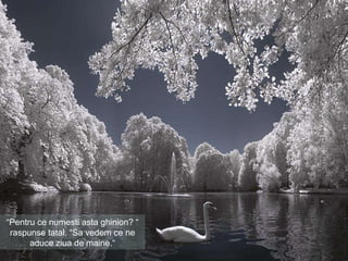 “ Pentru ce numesti asta ghinion?  “  raspunse tatal.  “Sa vedem ce ne aduce ziua de maine.“ 