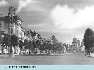 ALEEA  PATRIARHIEI. 