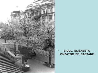 B-DUL.  ELISABETA VINZATOR  DE  CASTANE 