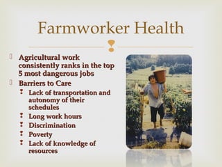 Farmworker Health 
 
 AAggrriiccuullttuurraall wwoorrkk 
ccoonnssiisstteennttllyy rraannkkss iinn tthhee ttoopp 
55 mmoosstt ddaannggeerroouuss jjoobbss 
 BBaarrrriieerrss ttoo CCaarree 
 LLaacckk ooff ttrraannssppoorrttaattiioonn aanndd 
aauuttoonnoommyy ooff tthheeiirr 
sscchheedduulleess 
 LLoonngg wwoorrkk hhoouurrss 
 DDiissccrriimmiinnaattiioonn 
 PPoovveerrttyy 
 LLaacckk ooff kknnoowwlleeddggee ooff 
rreessoouurrcceess 
 