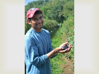 Healthcare - Vecinos - LEAD:WNC 2014 