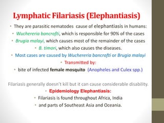 Lymphatic Filariasis (Elephantiasis)
• They are parasitic nematodes cause of elephantiasis in humans:
• Wuchereria bancrofti, which is responsible for 90% of the cases
• Brugia malayi, which causes most of the remainder of the cases
• B. timori, which also causes the diseases.
• Most cases are caused by Wuchereria bancrofti or Brugia malayi
• Transmitted by:
• bite of infected female mosquito (Anopheles and Culex spp.)
Filariasis generally doesn’t kill but it can cause considerable disability.
• Epidemiology Elephantiasis:
• Filariasis is found throughout Africa, India
• and parts of Southeast Asia and Oceania.
 