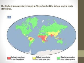 ThehighesttransmissionisfoundinAfricaSouthoftheSaharaandin parts
ofOceania..
 