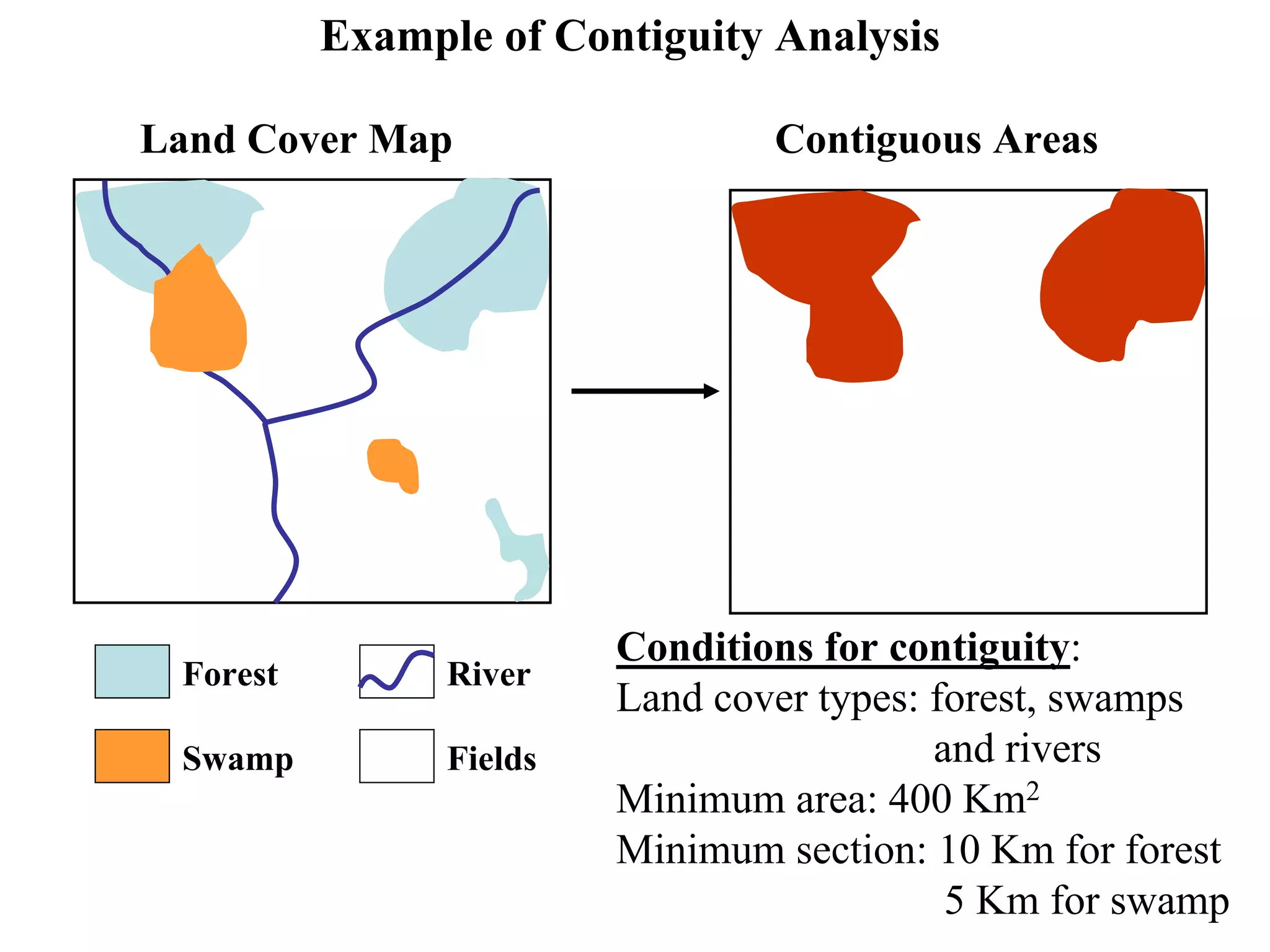 Forest
Swamp
River
Fields
Example of Contiguity Analysis
Land Cover Map Contiguous Areas
Conditions for contiguity:
Land cover types: forest, swamps
and rivers
Minimum area: 400 Km2
Minimum section: 10 Km for forest
5 Km for swamp
 