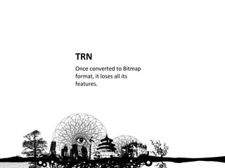 TRN Once converted to Bitmap format, it loses all its features. 
