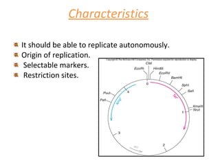 Characteristics   It should be able to replicate autonomously. Origin of replication.  Selectable markers. Restriction sites. 