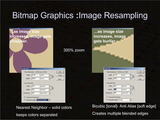 Bitmap Graphics  : Image Resampling 300% zoom Nearest Neighbor – solid colors keeps colors separated Bicubic [tonal]- Anti Alias [soft edge] Creates multiple blended edges … as image size increases, image gets choppier. … as image size increases, image gets burlier. 