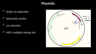 vector used in recombinant DNA technology | PPTX