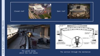 Vector active systems