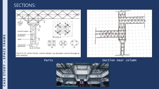 Vector active systems