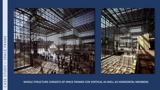 Vector active systems