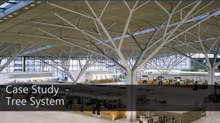 Vector active systems