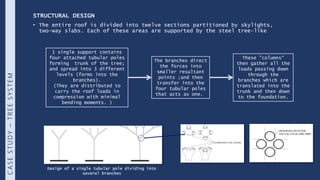 Vector active systems