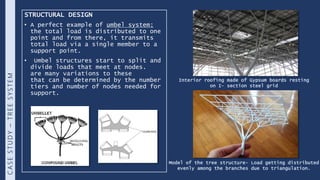 Vector active systems