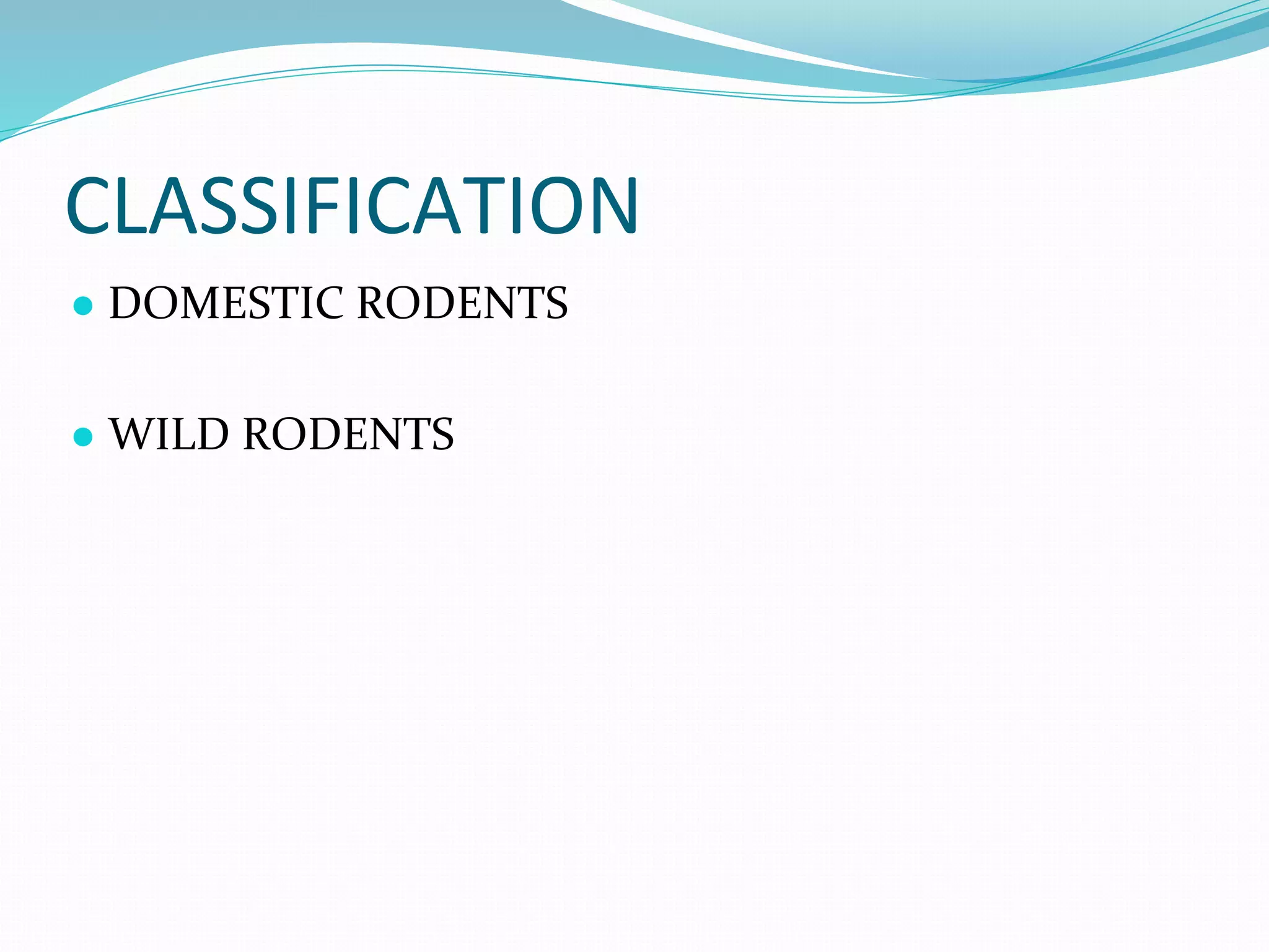 Vector and rodent control