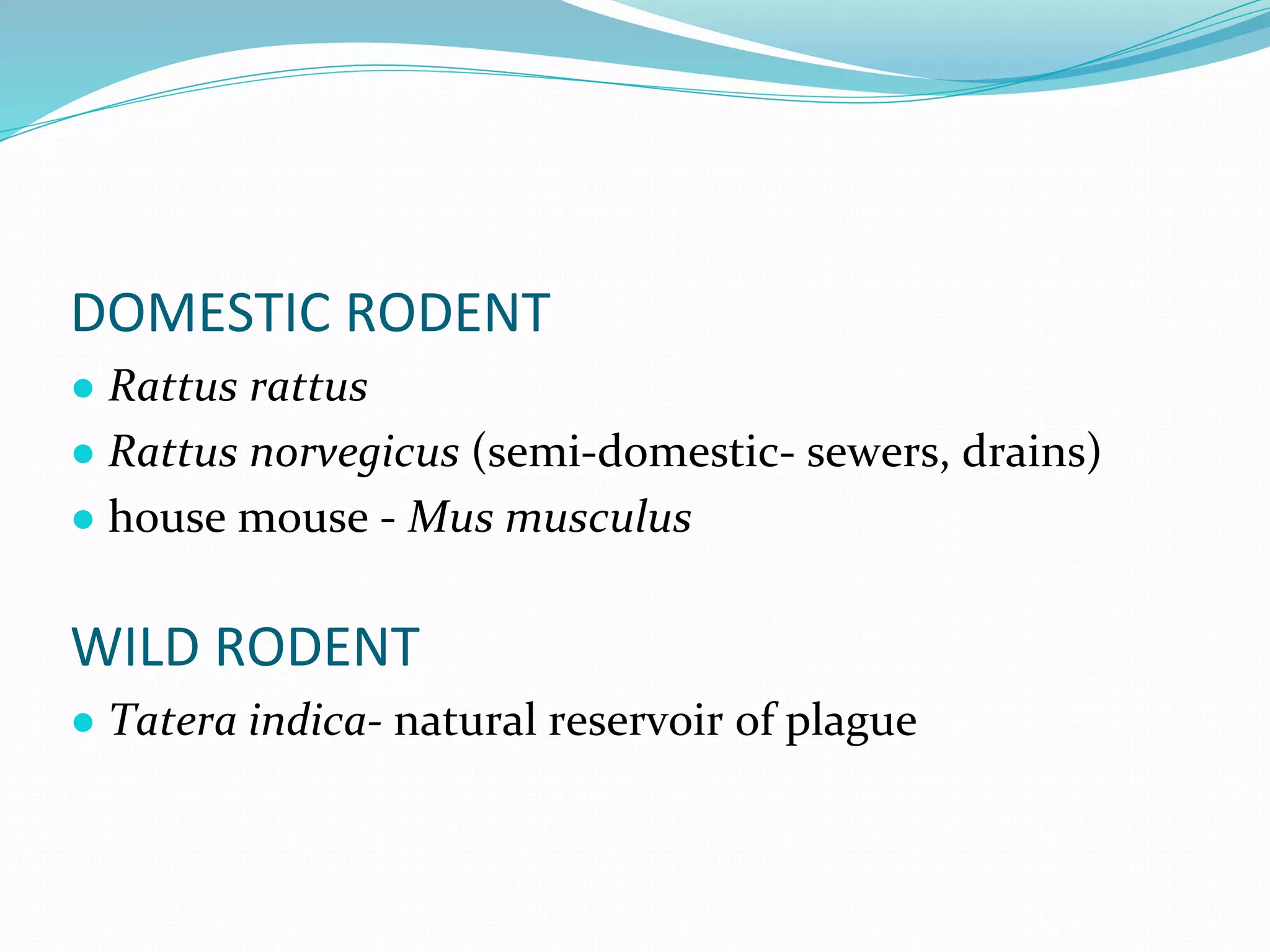 Vector and rodent control