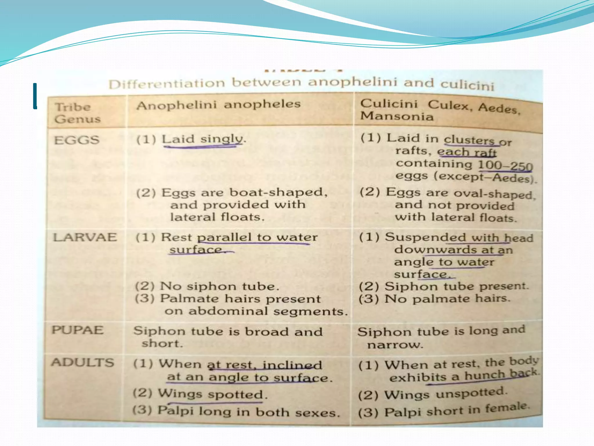 Vector and rodent control