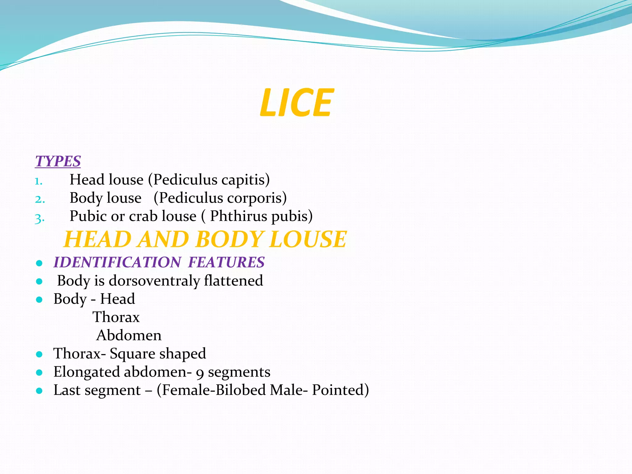 Vector and rodent control