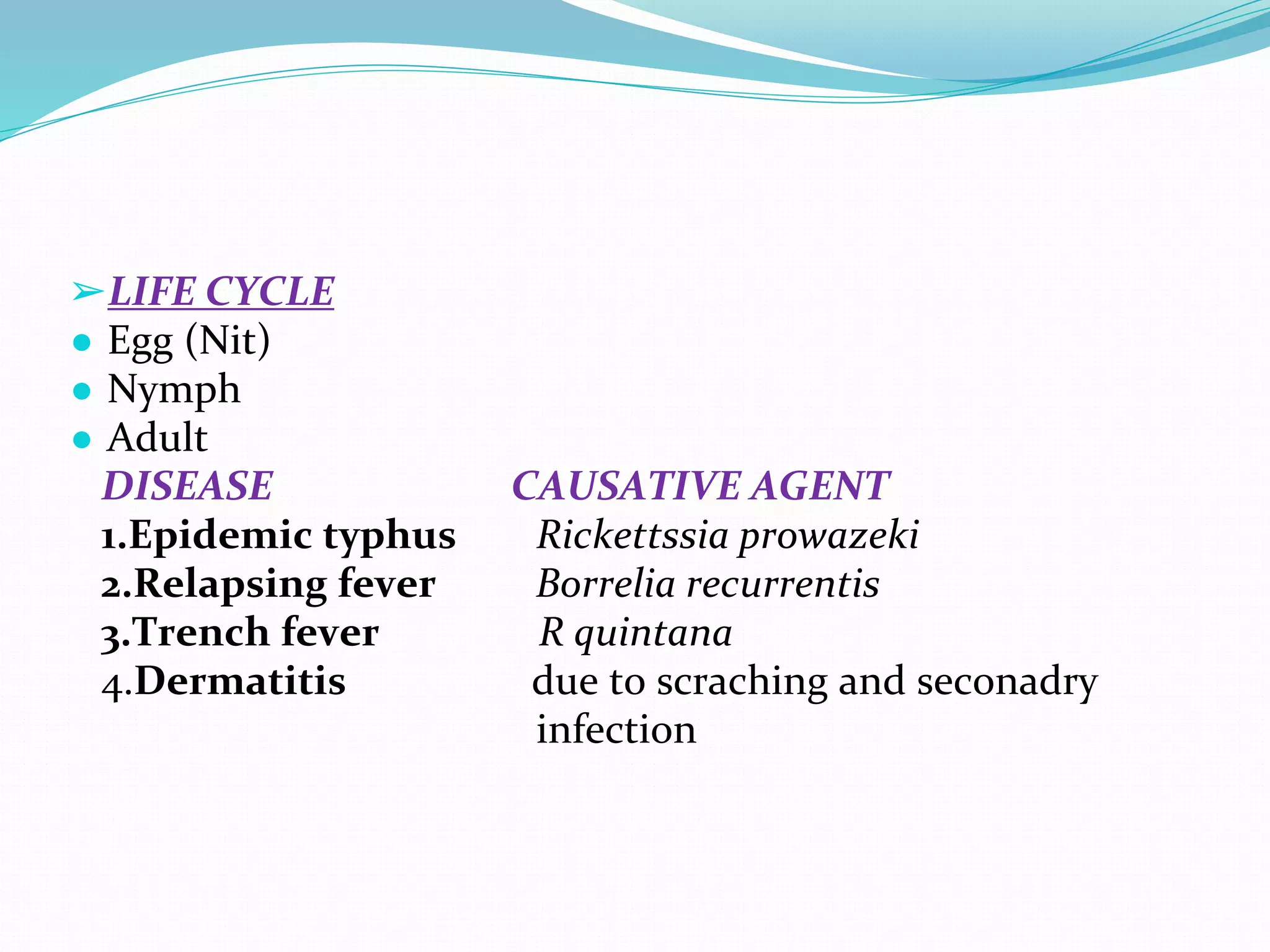 Vector and rodent control