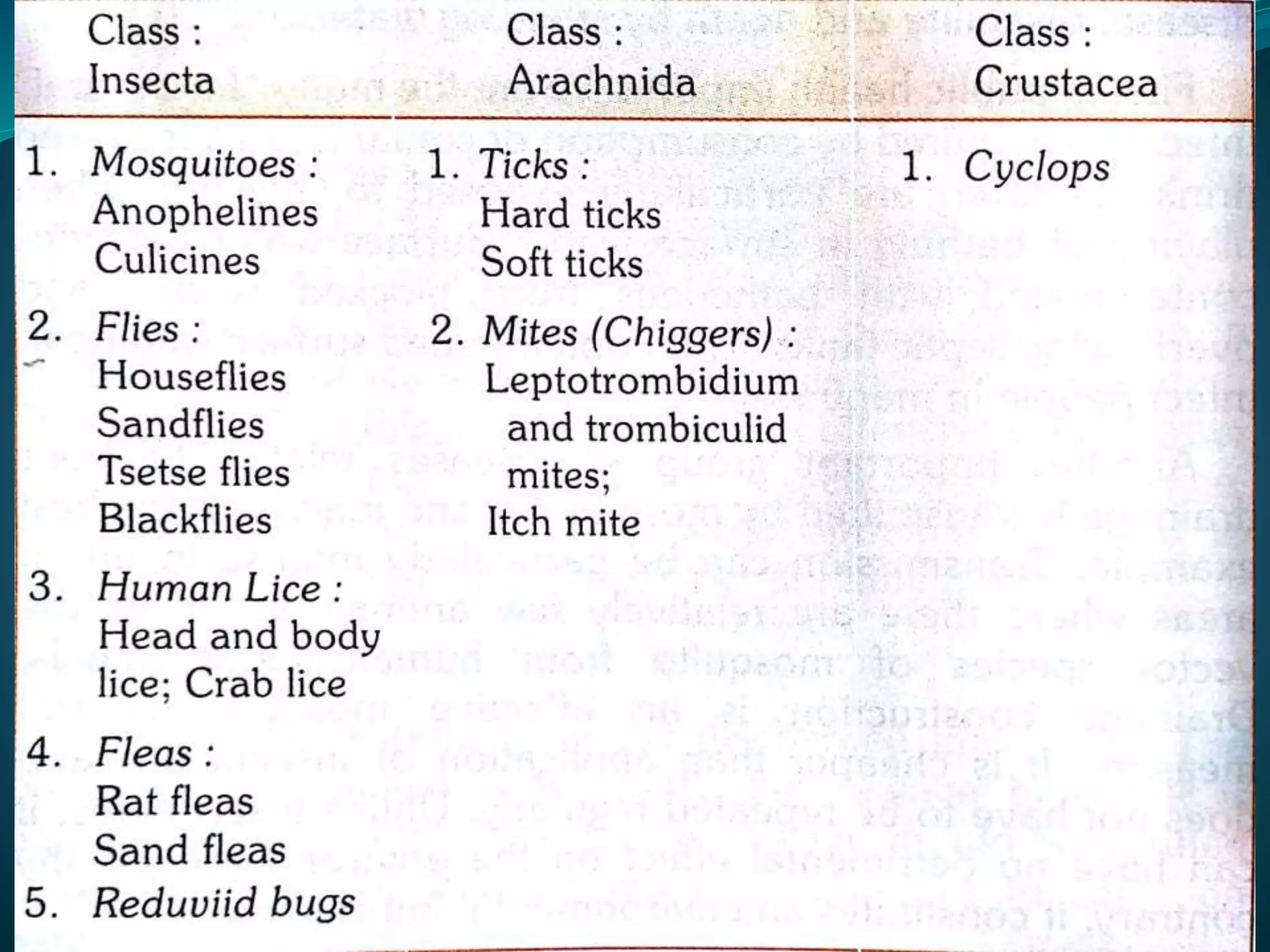 Vector and rodent control