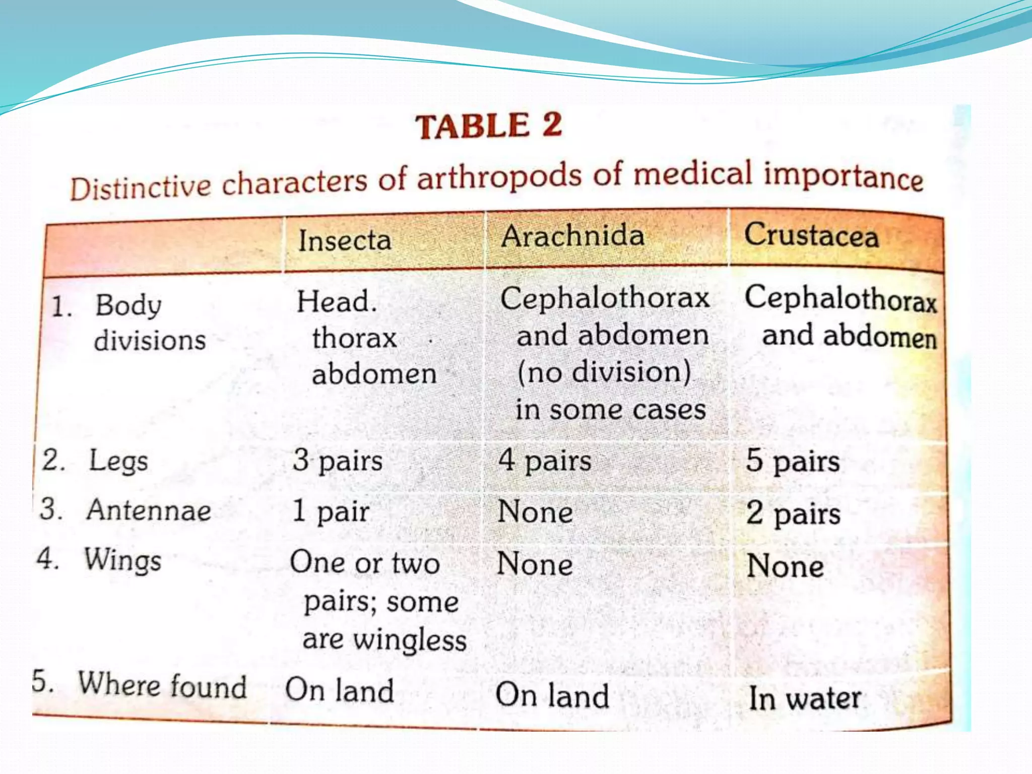 Vector and rodent control