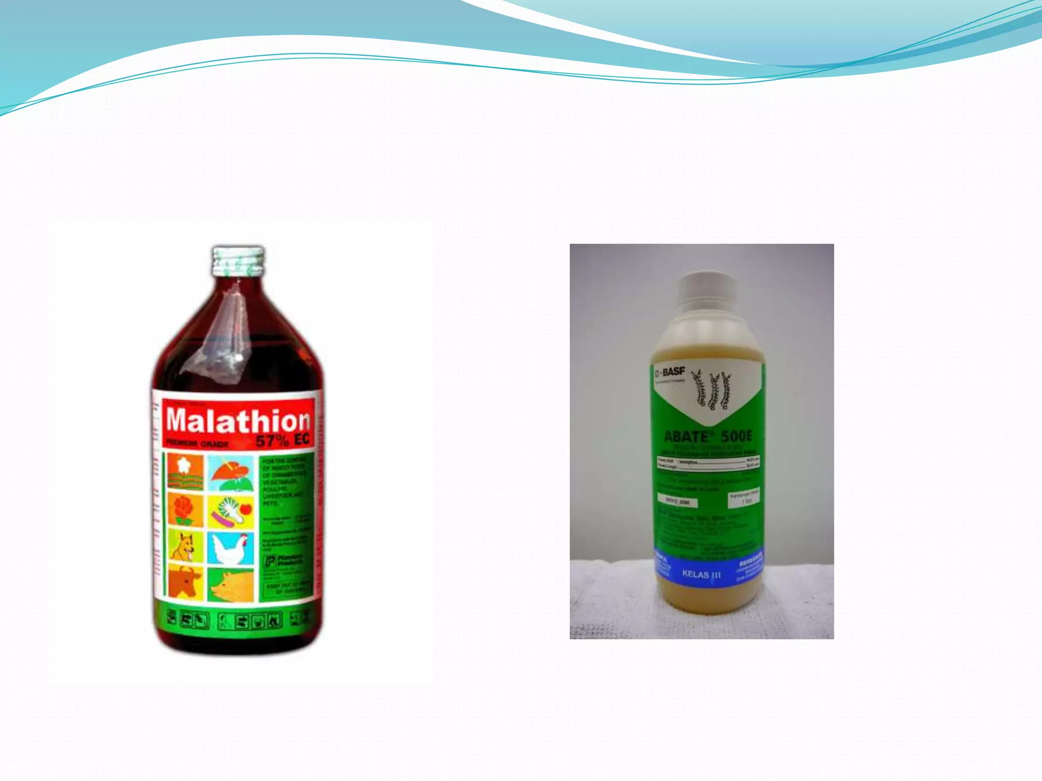 Vector and rodent control