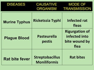Vector and rodent control