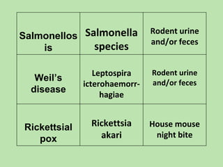 Vector and rodent control
