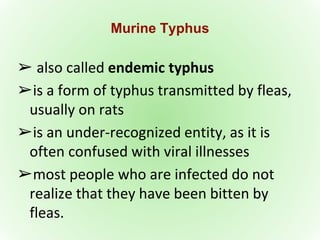 Vector and rodent control