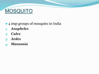 Vector and rodent control