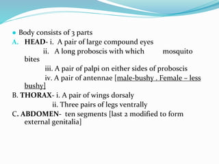 Vector and rodent control