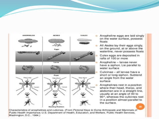 Vector and rodent control